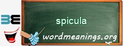 WordMeaning blackboard for spicula